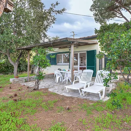 Apartman Serena Procchio